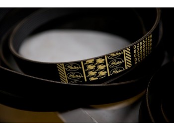 9911861268 curea 2HBx2800