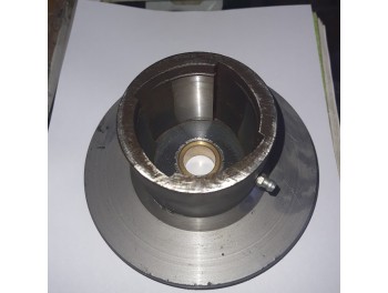 15.15.004 disc stupita Gallignani