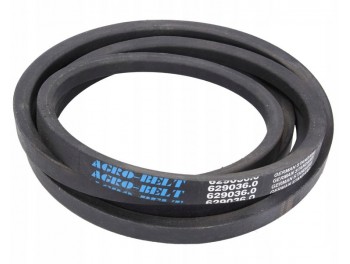 629036 (20x4078) Curea site