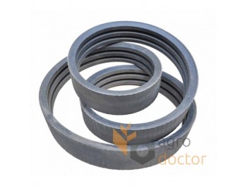 653060 (3HBx4100) Stomil Curea Molocarnia 