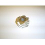 Piese pentru balotiere - MC424 Pinion Melcat IHC
